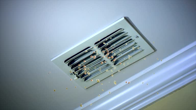 Best General Air Duct Cleaning  in Cottageville, SC
